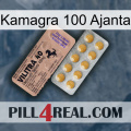 Kamagra 100 Ajanta 41